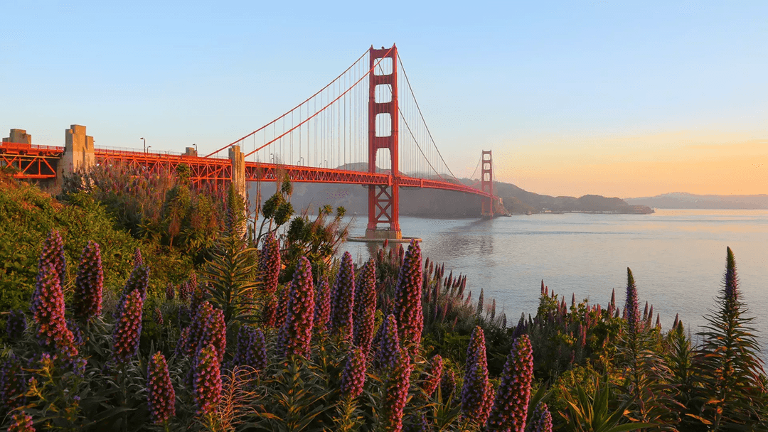 San Francisco