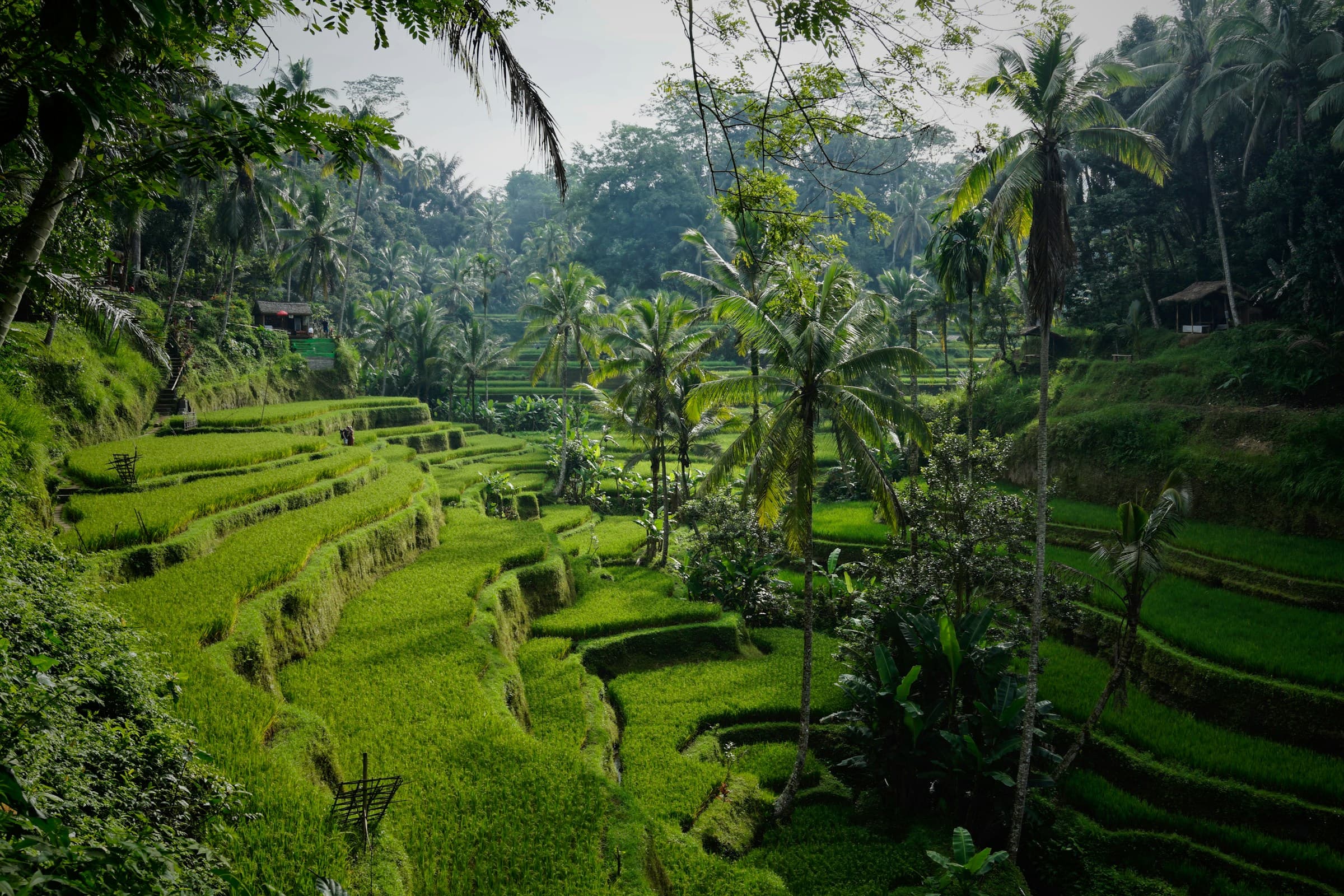 Indonesia workspaces